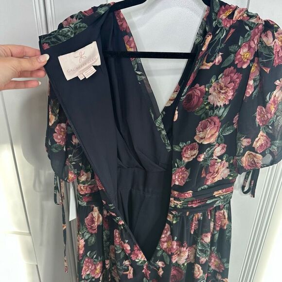 Gal Meets Glam Ashlynn floral print chiffon maxi Size 4 (q1) - Picture 8 of 9